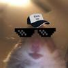 Profile Picture of Robin Andersson (@thehamsterbaba74) on Tiktok