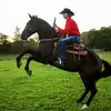 Profile Picture of GavinHuffmanHorsemanship (@gavinhuffman47) on Tiktok