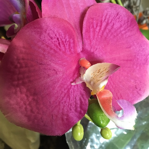 Profile Picture of Irina Blancato (@ira0505) on Poshmark