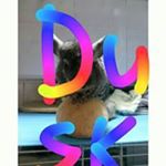 Profile Picture of Dawn Lim (@dawnlim104) on Instagram