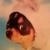 Profile Picture of Marty Step (@285934311) on Myspace