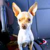 Profile Picture of Cindy Hendricks (@@cindyhendricks7) on Tiktok