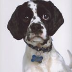 Caroline Louise Curran - Instagram Profile Picture of Caroline Louise Curran (@caroline_l_curran) on Instagram