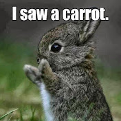 Profile Picture of Savannah Hurst (@savannahhurst6081) on Youtube