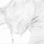 Profile Picture of Paul (@paulcalzada) on Instagram