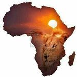 Profile Picture of ravi daniel (@ravidaniel3901) on Instagram