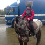 Profile Picture of Alex  I Love Horses (@alexlalor123) on Instagram