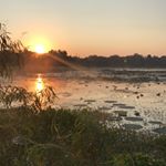 Profile Picture of John Fulcher Jr (@dead_blow) on Instagram