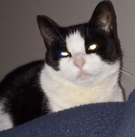 Profile Picture of Joseph Hudak (@josephhudak229) on Poshmark