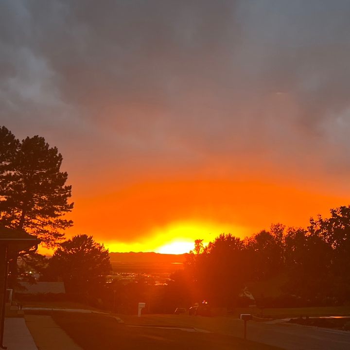 aspen - Tiktok Profile Picture of aspen (@aspen.pickles) on Tiktok