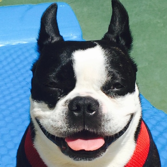 Profile Picture of Beth Policano (@lovemyjetty) on Poshmark