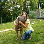 Profile Picture of Paula Showalter (@paulashowalter) on Instagram