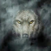 Profile Picture of Alex Combs (@alexcombs3928) on Youtube