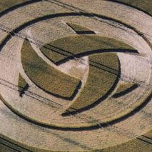 Profile Picture of Fabian Hardy (@fabian.hardy.756) on Facebook