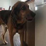 Profile Picture of Joseph Diemand (@joseph_diemand) on Instagram