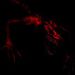 Profile Picture of Michael Tavarez (@michaeltavarez0516) on Pinterest
