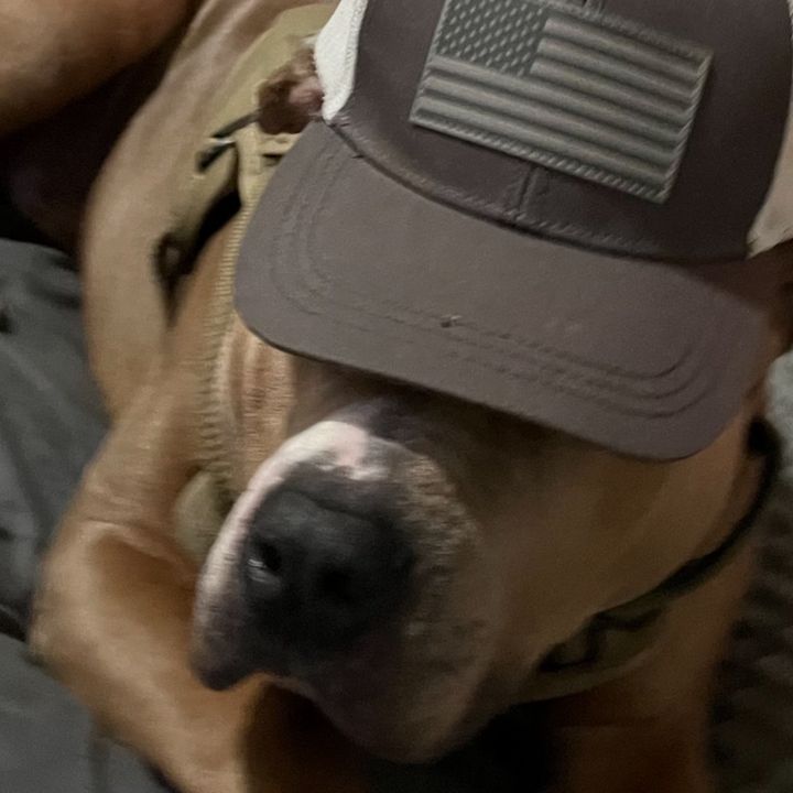 Profile Picture of dominick (@user2947937713109) on Tiktok