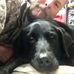 Profile Picture of Adam Metcalfe (@adam.metcalfe.77377) on Facebook