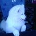 Profile Picture of Dan Albert (@dan.albert.104855) on Facebook