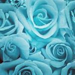 Profile Picture of Ruby Torres (@rubytorres4899) on Instagram