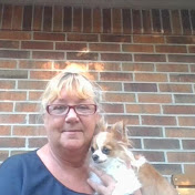 Profile Picture of Debra DeLeon (@debradeleon2495) on Youtube