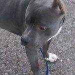 Profile Picture of Jonathan Harwell (@jhblaze11703) on Instagram