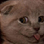 Profile Picture of Darko Doudou (@williky) on Flickr