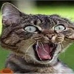 Profile Picture of Roberto Aparecido (@roberto.siemens) on Instagram