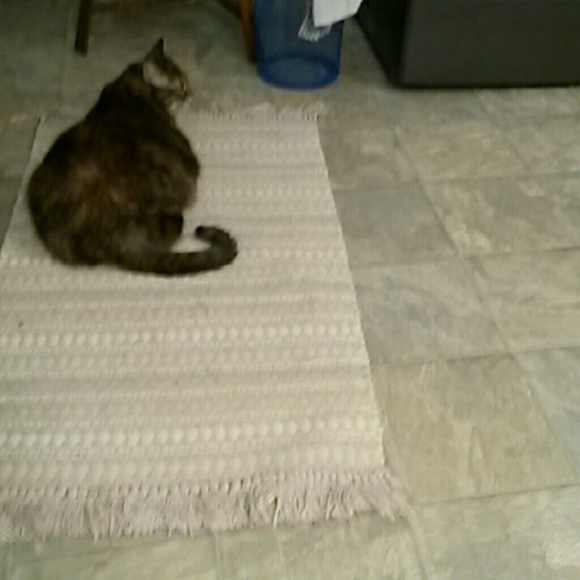 Profile Picture of Diana Patterson (@dpatter03) on Poshmark