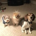 Profile Picture of Michael Dusenberry (@michael.dusenberry) on Instagram