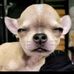 Profile Picture of Abby Wolfie (@abby.berndt.1) on Facebook