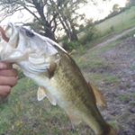 Profile Picture of JËRĒMÌÃH FÂRRËLL (@fishing_reloaded69) on Instagram