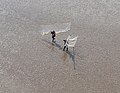 Profile Picture of Haaf net fishingon Wikipedia