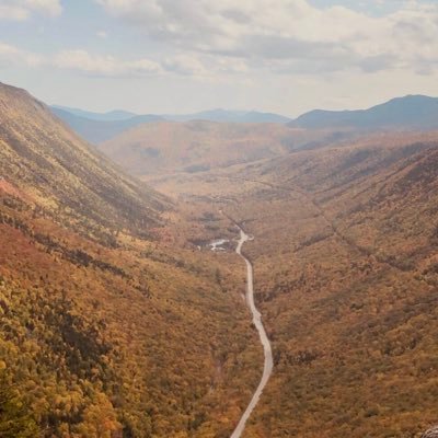 Profile Picture of Matt Costantino (@MattCostantino1) on Twitter