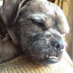 Profile Picture of Tyrone O'connell (@tyrone.oconnell.5) on Instagram