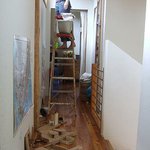 Profile Picture of tool (@tooleshawn) on Instagram