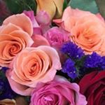 Profile Picture of Susan Kneller (@knellersusan) on Instagram