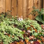 Profile Picture of Steven Cranke (@stevencranke) on Instagram