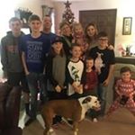 Profile Picture of Kim crider (@kim_crider) on Instagram
