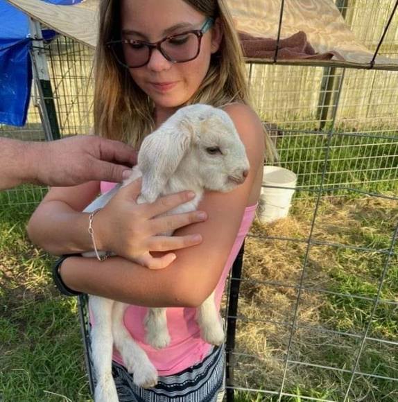 Profile Picture of Judy Hamelmann (@jlham63) on Poshmark