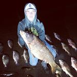 Profile Picture of Ben Carlson (@ben_carlson_) on Instagram