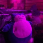 Profile Picture of Gerald Westlund (@thefalconking) on Instagram