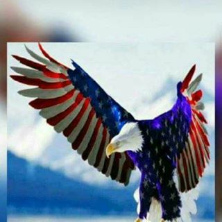 Profile Picture of Robert Kearn (@robert.kearn.98) on Facebook