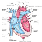 Profile Picture of Gregory Wilson (@Gregory-Wilson) on Facebook