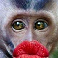 Profile Picture of Virginia Alvarez (@virginia-alvarez-14) on Quora