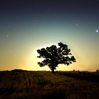 Profile Picture of Lai Xue (@lai-xue) on Quora