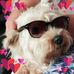 Profile Picture of Scott Glancy (@scott.glancy.56) on Facebook