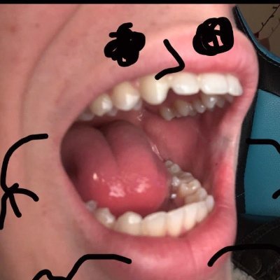 Profile Picture of Brad Schweizer (@BradSchweizer) on Twitter