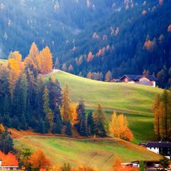 Profile Picture of Peter McCusker (@petermccusker2) on Tiktok