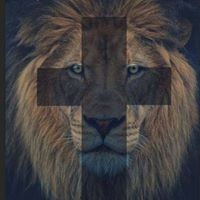 Profile Picture of Tim Sutton (@tim-sutton-38) on Quora